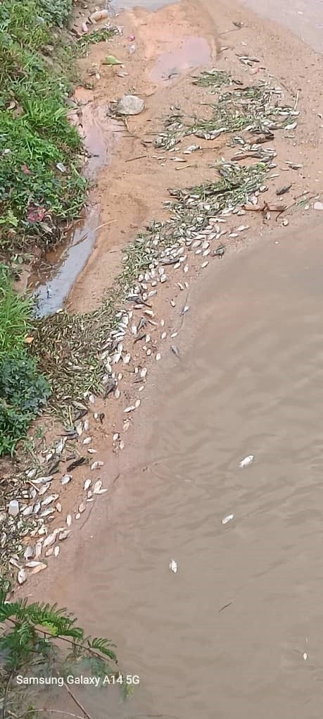 கடும் நடவடிக்கை எடுக்குமாறு வீரப்பன் உத்தரவு