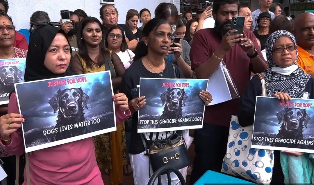 KOPI என்ற செல்ல நாயை சுட்டுக்கொல்வதா?- டத்தோ சிவகுமார் கண்டனம்