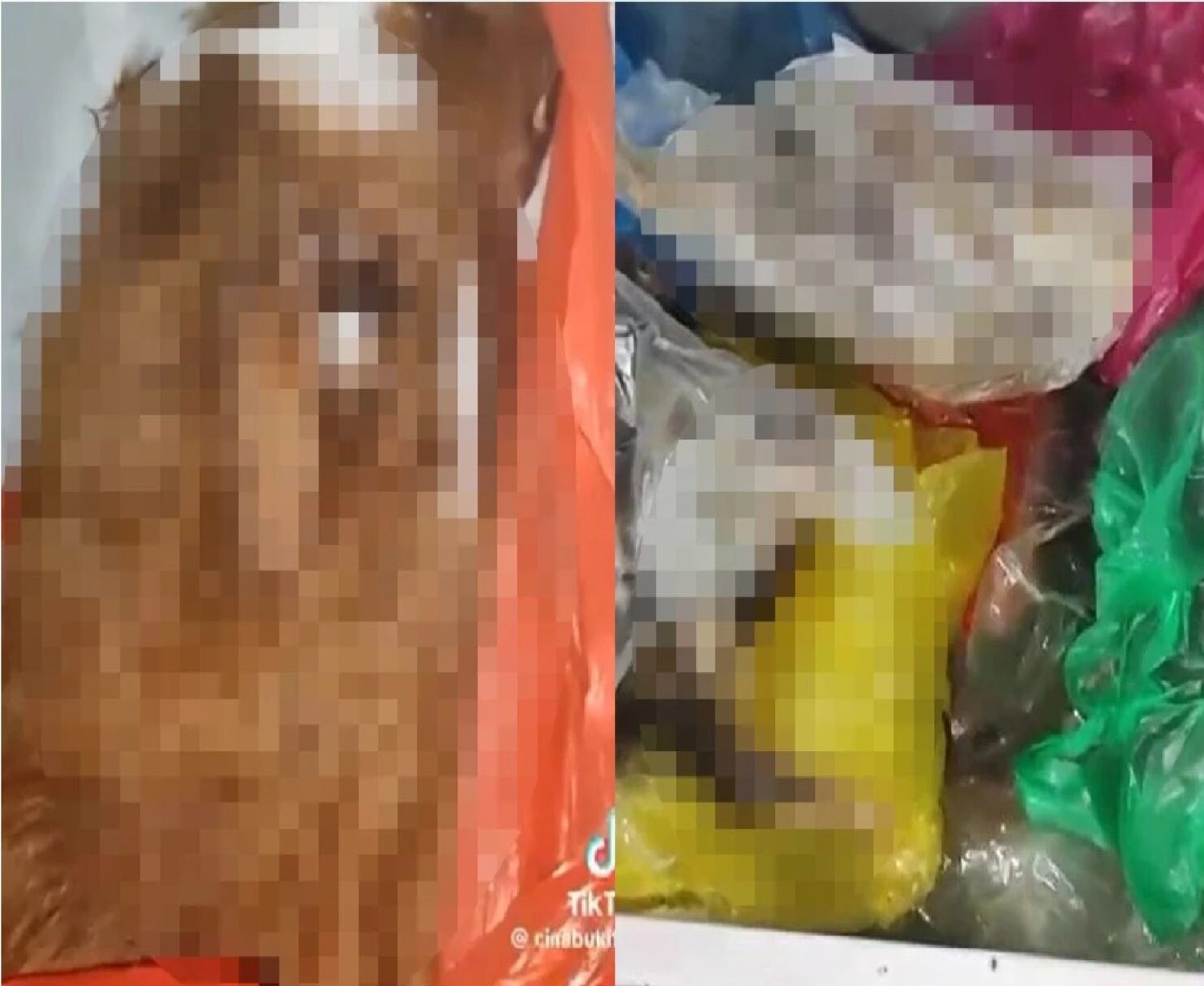 அது பழைய வீடியோ காணொளியாகும்