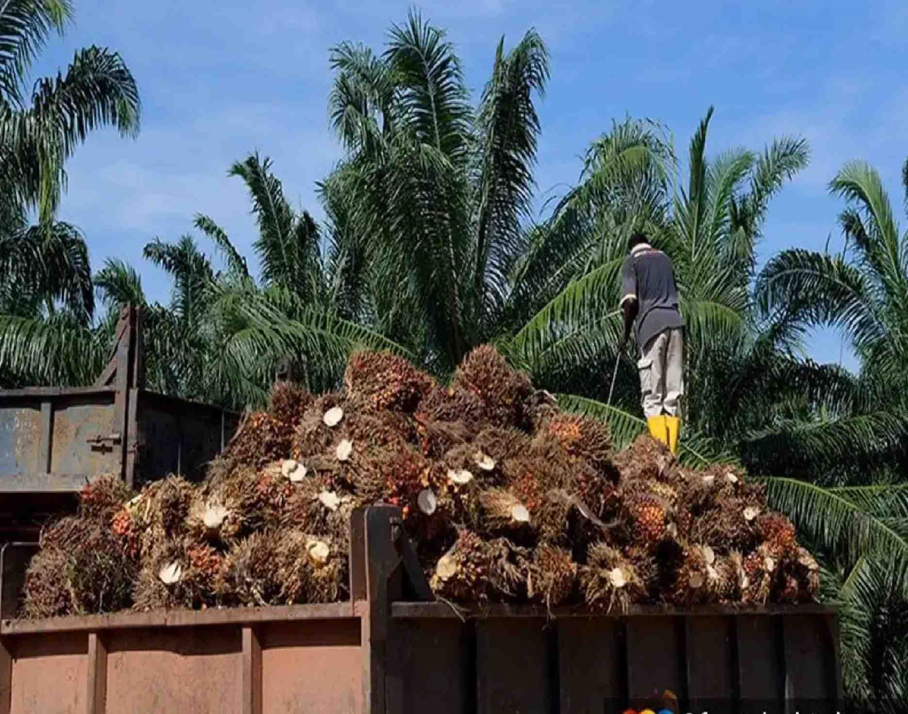 அது தற்காலிக நடவடிக்கையாகும்