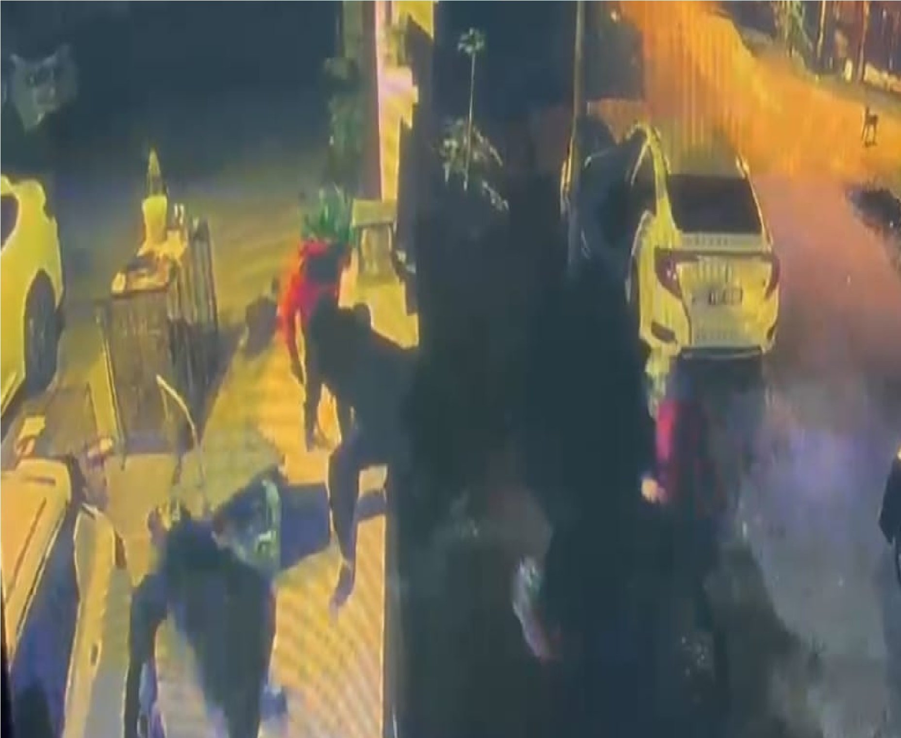 பங்களா வீட்டில் நடந்த துணிகரக் கொள்ளை / இரண்டு இந்திய இளைஞர்கள் சிக்கினர் / மேலும் 8 பேருக்கு வலைவீச்சு