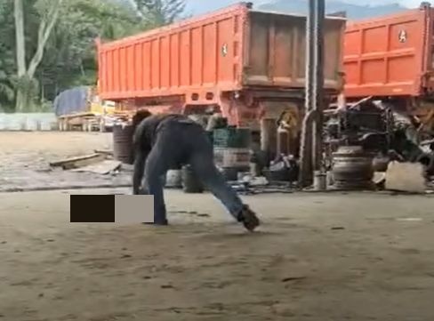 நாயை அடித்துக்கொன்ற நபர் கைது