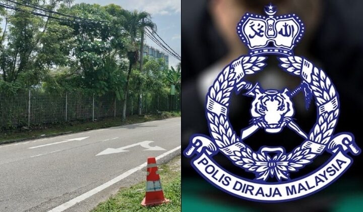 வாகனம் மோதியதற்கான எந்த அடையாளமும் இல்லை