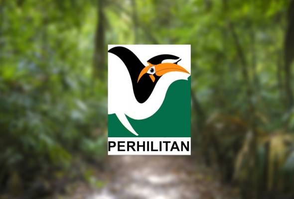 லோரியில் மோதப்பட்ட புலி இறந்தது