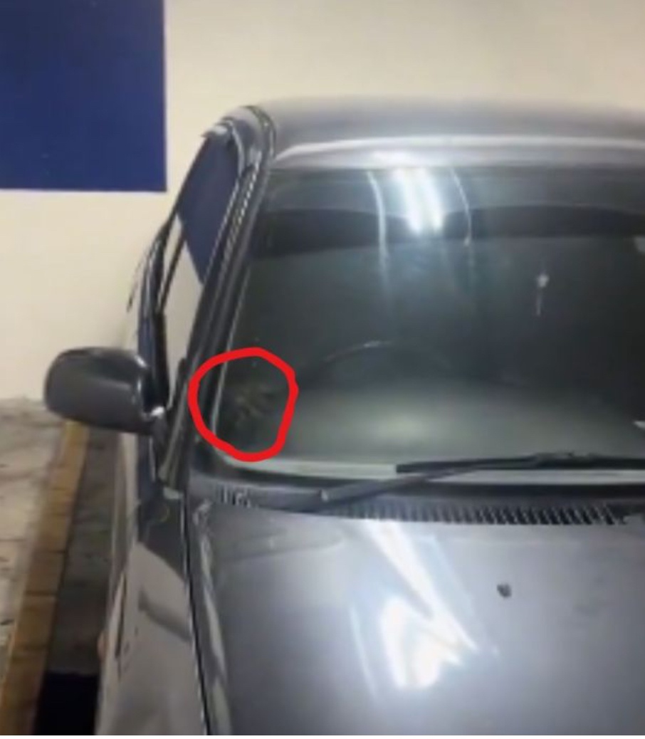 அது பழைய வீடியோ காணொளியாகும்