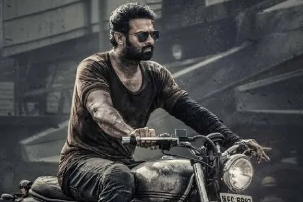 சலார் 2 படத்திற்காக ஆவலுடன் காத்திருந்த ரசிகர்கள்..