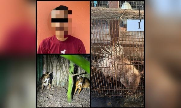 ஆடவரிடமிருந்து விலங்கினங்கள் பறிமுதல்