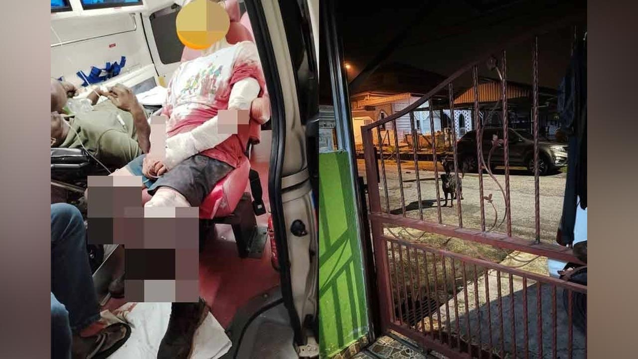 கூண்டிலிருந்து தப்பிய இரண்டு நாய்கள் கடித்ததில் நால்வர் காயம்