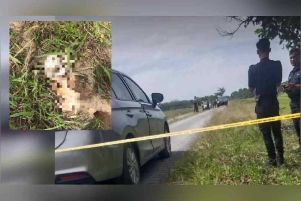 நெய் வயலில் மனித எலும்புக் கூடு கண்டுபிடிப்பு