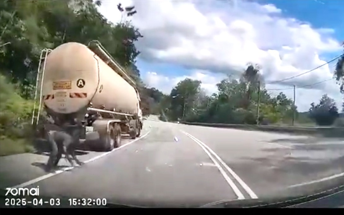 லோரி ஓட்டுநர் சிறுத்தையினால் தாக்கப்பட்டார்