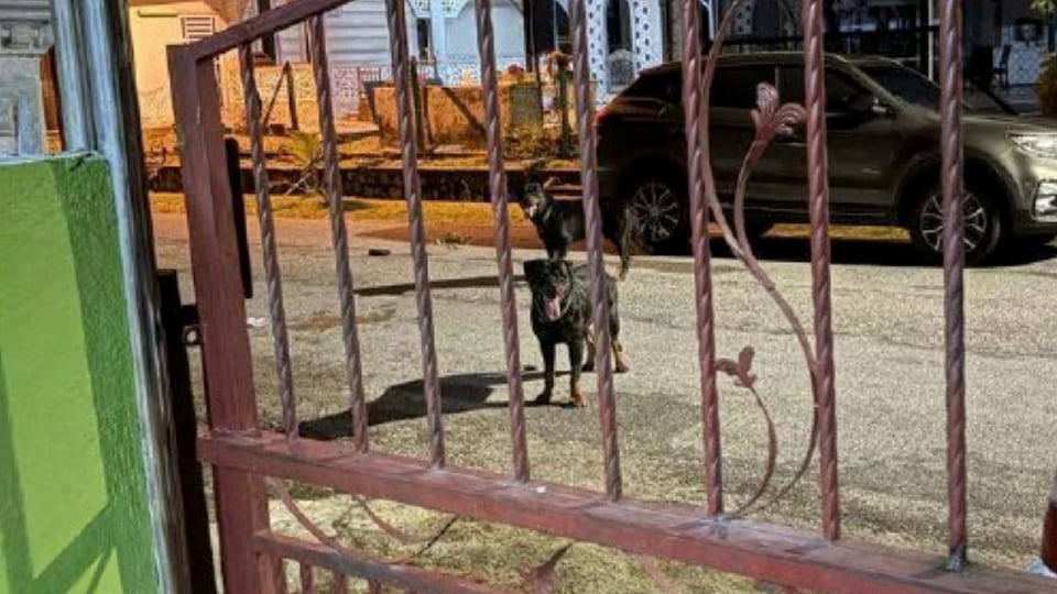 அதிகாரத்துவத் தரப்பு நடவடிக்கை எடுக்க வேண்டும்