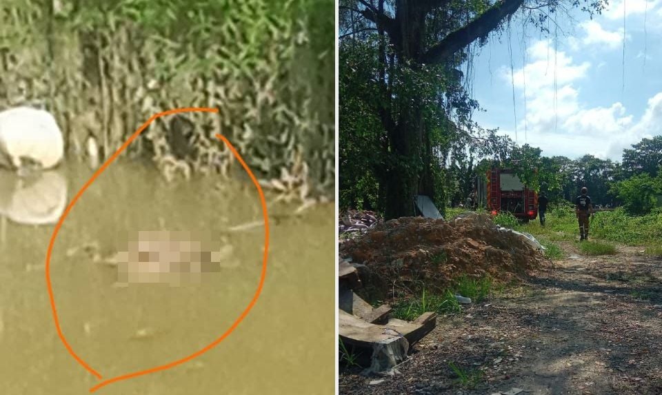 ஆற்றில் சிறுமியின் சடலம் கண்டுபிடிப்பு