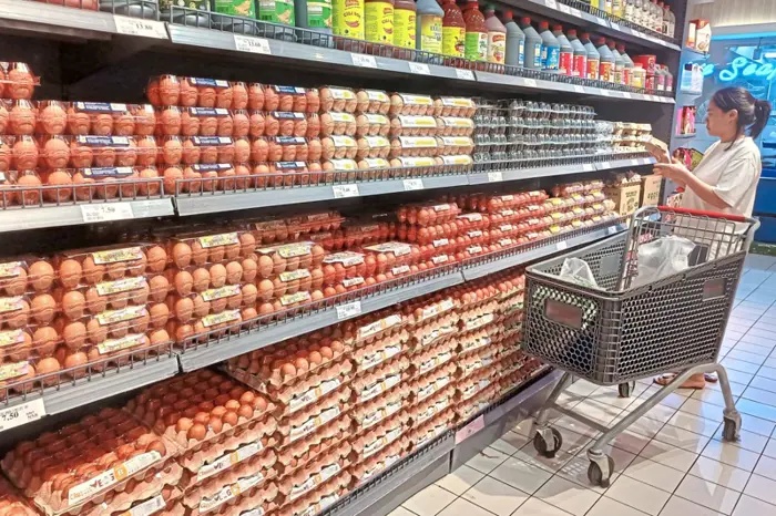 கோழி முட்டை விலை 10 காசு உயரக்கூடும்