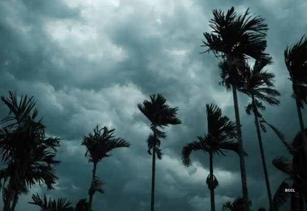 மின்னல், பலத்த காற்றுடன் கூடிய மழை: குஜராத்தில் 14 பேர் மரணம்