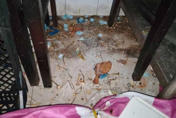 அசுத்தத்தின் உறைவிடமாக இருந்த நாசி கண்டார் உணவகம் மூடப்பட்டது