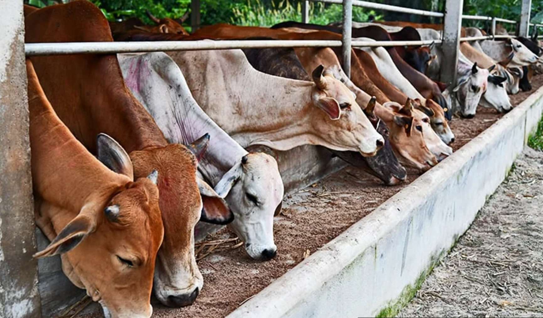 தாய்லாந்திடம் உறுதியளிப்பு கோரியுள்ளது மலேசியா