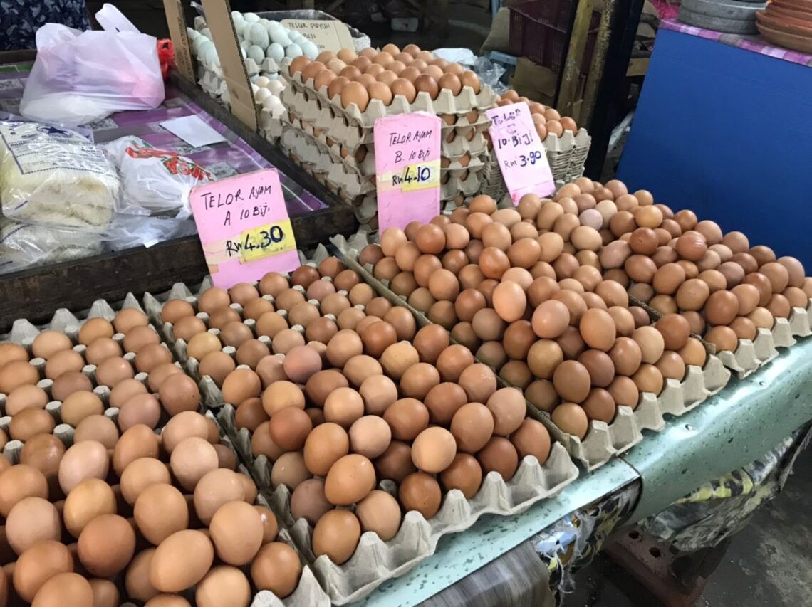 சி தர முட்டைகளின் விநியோகம் அதிகரிக்கப்படும்