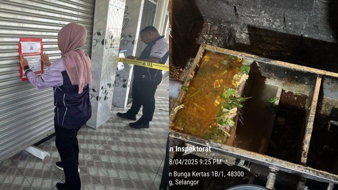 பாசைப் பூச்சிகள் - 3 உணவுகங்கள் மூடப்பட்டன