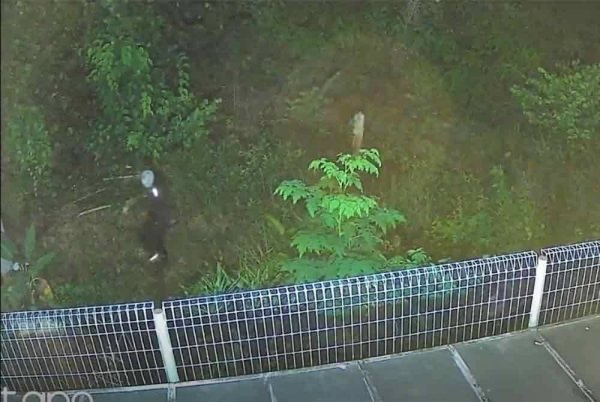 வீடு புகுந்து கொள்ளை முயற்சி, ஐவரை போலீஸ் தேடுகிறது