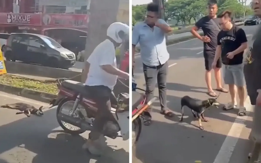 நாயை மோட்டார் சைக்கிளில் இழுத்துக் கொண்டுச் சென்ற முதியவர் கைது