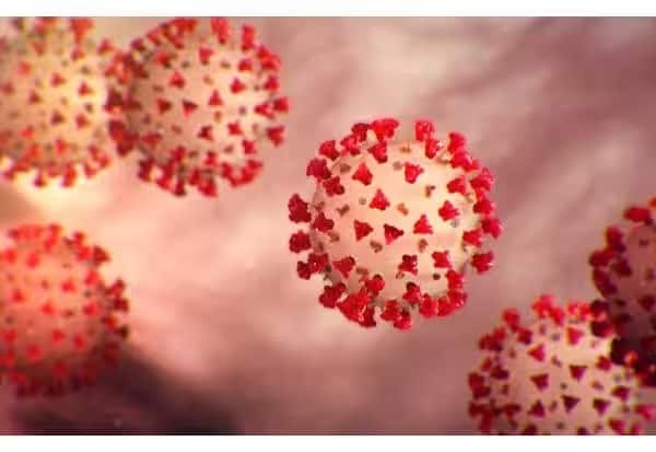கொரோனா பீடித்தவர்களின் எண்ணிக்கை  7000த்தை நெருங்குகிறது
