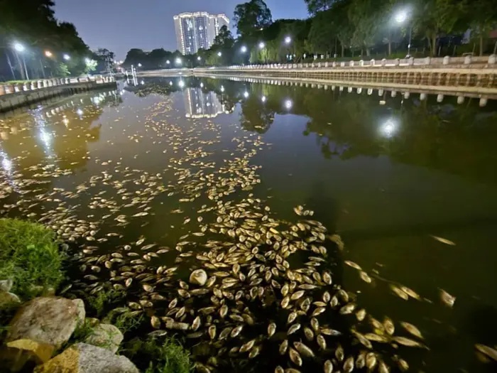 ஆயிரக்கணக்கான மீன்கள் மடிந்தன