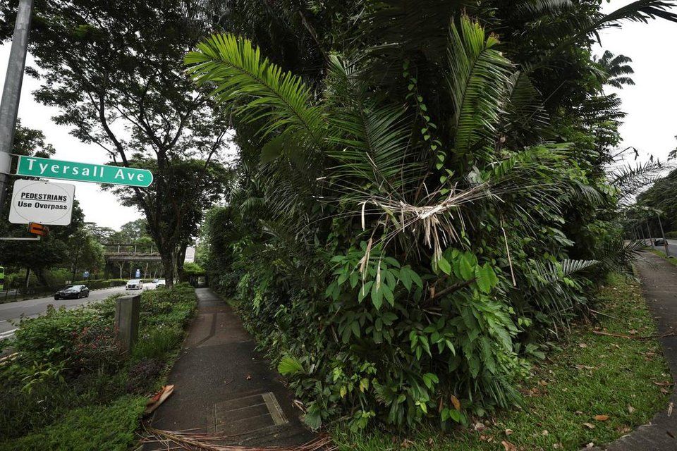 ஹோலண்ட் ரோட்டில் உள்ள நிலப் பகுதிகளை மாற்றிக் கொள்ள சிங்கப்பூர் – ஜோகூர் இடைக்கால சுல்தான் இணக்கம்