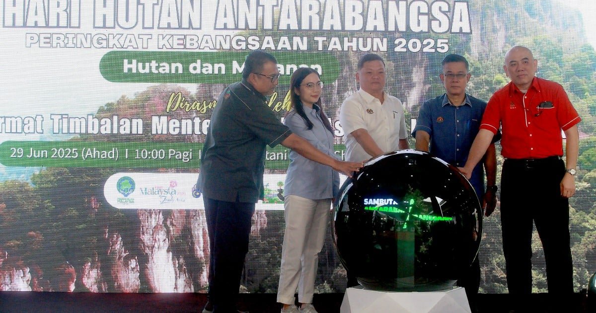 தேசிய வனவியல் சட்டம் உடனடியாகச் செயல்படுத்தப்பட வேண்டும்