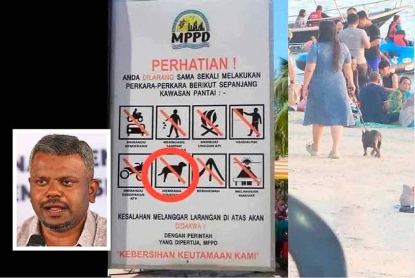 வளர்ப்பு நாய்களைக் கொண்டு வந்தால் 250 ரிங்கிட் அபராதம்