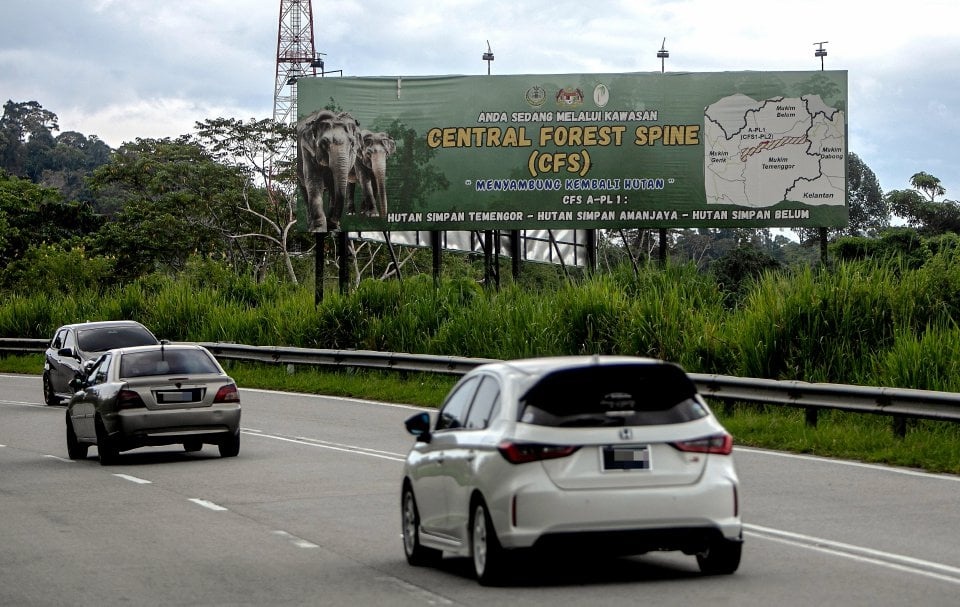 நிரந்தர வனப் பகுதிகள் பரப்பளவு அதிகரித்துள்ளது