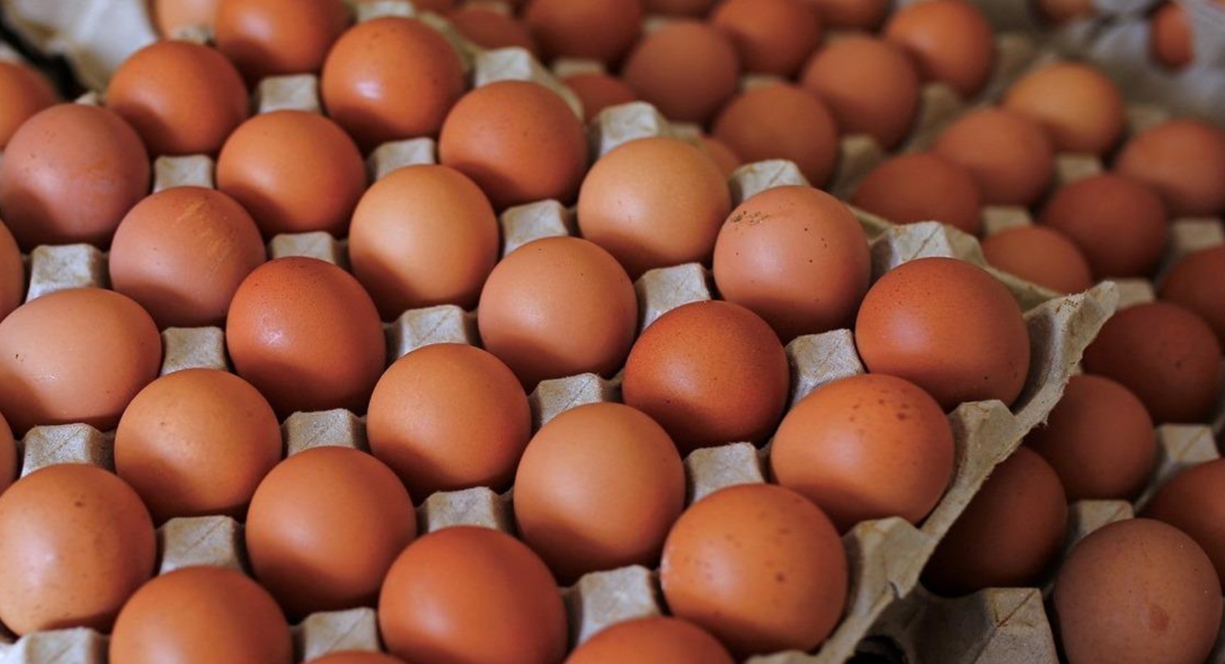 நியாயமான விலையில் கிடைப்பதற்கு சிறப்பு கிரேட் கோழி முட்டைகள்