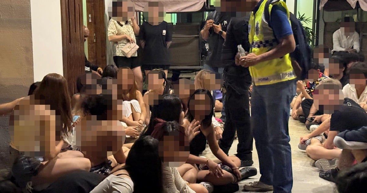 தனிப்பட்ட விருந்து உபசரிப்பு, போதைப்பொருள் விநியோகம்: நால்வர் கைது