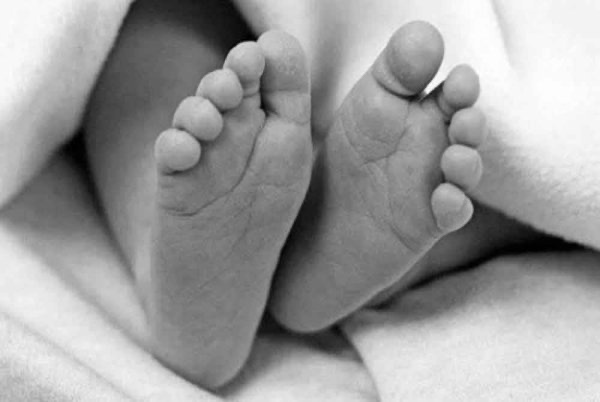 நாய்கள் கடித்து குதறிய ஒரு வயது 7 மாதமே ஆனச் சிறுவன் மரணம்