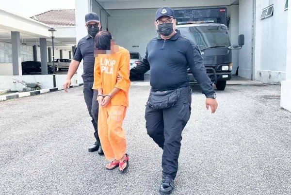 சகோதரியைப் பாலியல் பலாத்காரம், சகோதரன் மீது குற்றச்சாட்டு