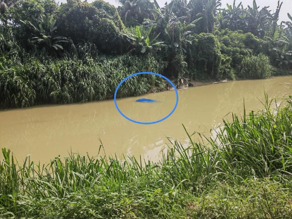 கார் ஆற்றில் பாய்ந்த சம்பவத்தில் தம்பதியர் தேடப்படுகின்றனர்