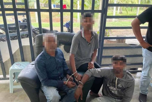 தென்னை மரத் தோப்புக்குள் விபச்சாரம்: இரண்டு பெண்கள் உட்பட 6 பேர் கைது