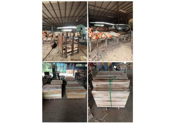 சட்டத்திற்குப் புறம்பான மரங்கள் பறிமுதல்