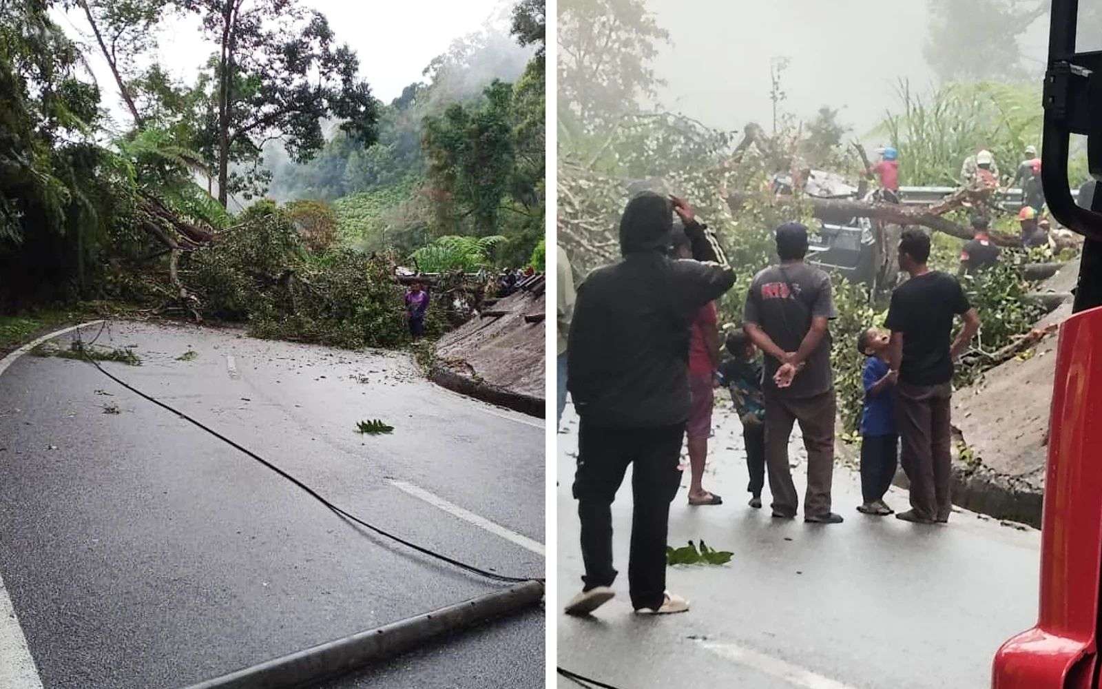 கேமரன் மலை சாலையில் மரம் சாய்ந்தது: தம்பதியர் காயம்