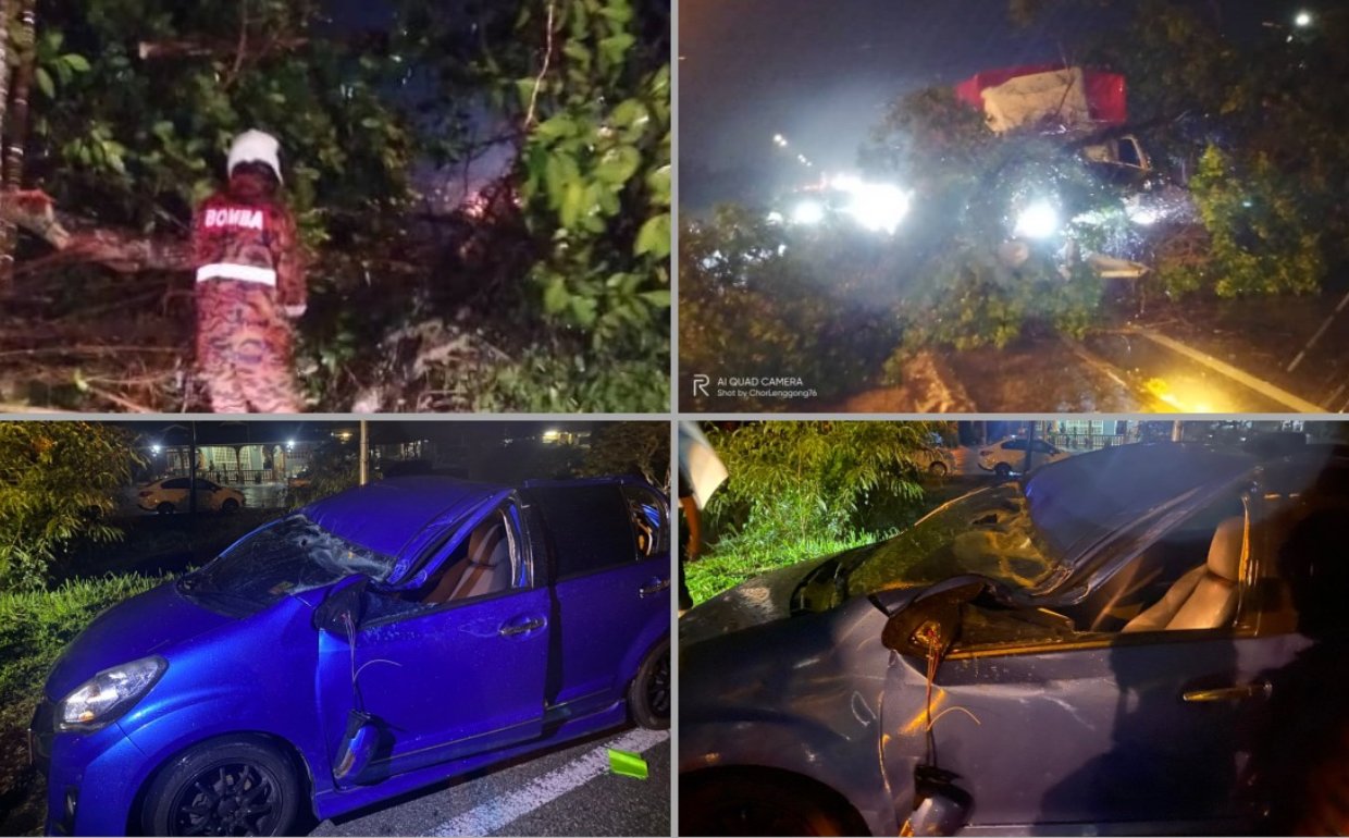 மரங்கள் சாய்ந்ததில் இருவர் காயம்