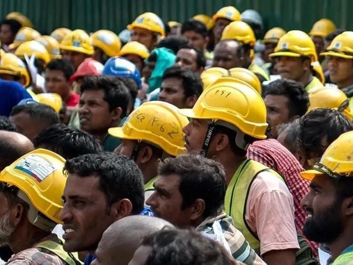 தேர்ந்தெடுக்கப்பட்டத் துறைகள், துணைத் துறைகளுக்கான வெளிநாட்டு தொழிலாளர்: விண்ணப்பங்களை மீண்டும் திறக்கிறது அரசாங்கம்