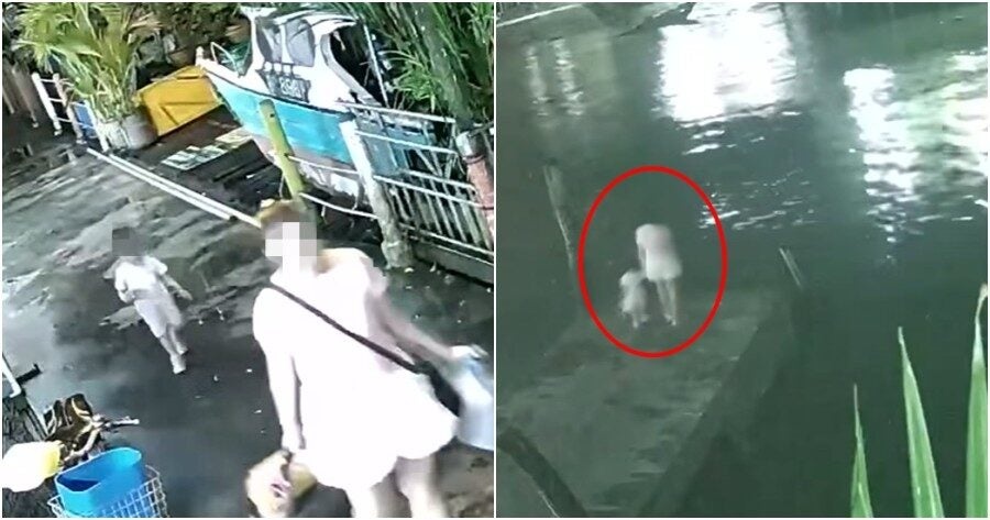 மாதுவும் அவரது மகளும் படகுத் துறையில் விழுந்து மரணம்