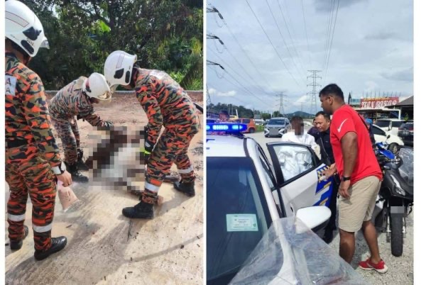 புத்தி சுவாதீனமற்ற இளைஞரைப் பிடிப்பதற்கு தீயணைப்பு, மீட்புப்படை உதவி நாடப்பட்டது