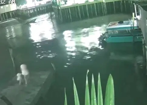 மாது, அவரின் மகள் சடலங்கள் மீட்கப்பட்டன