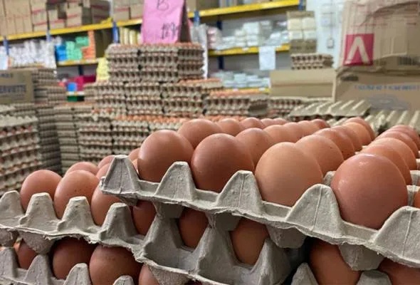 தேவைக்கு அதிகமாக உற்பத்தி: நாட்டில் முட்டை விநியோகம் சீராக உள்ளது