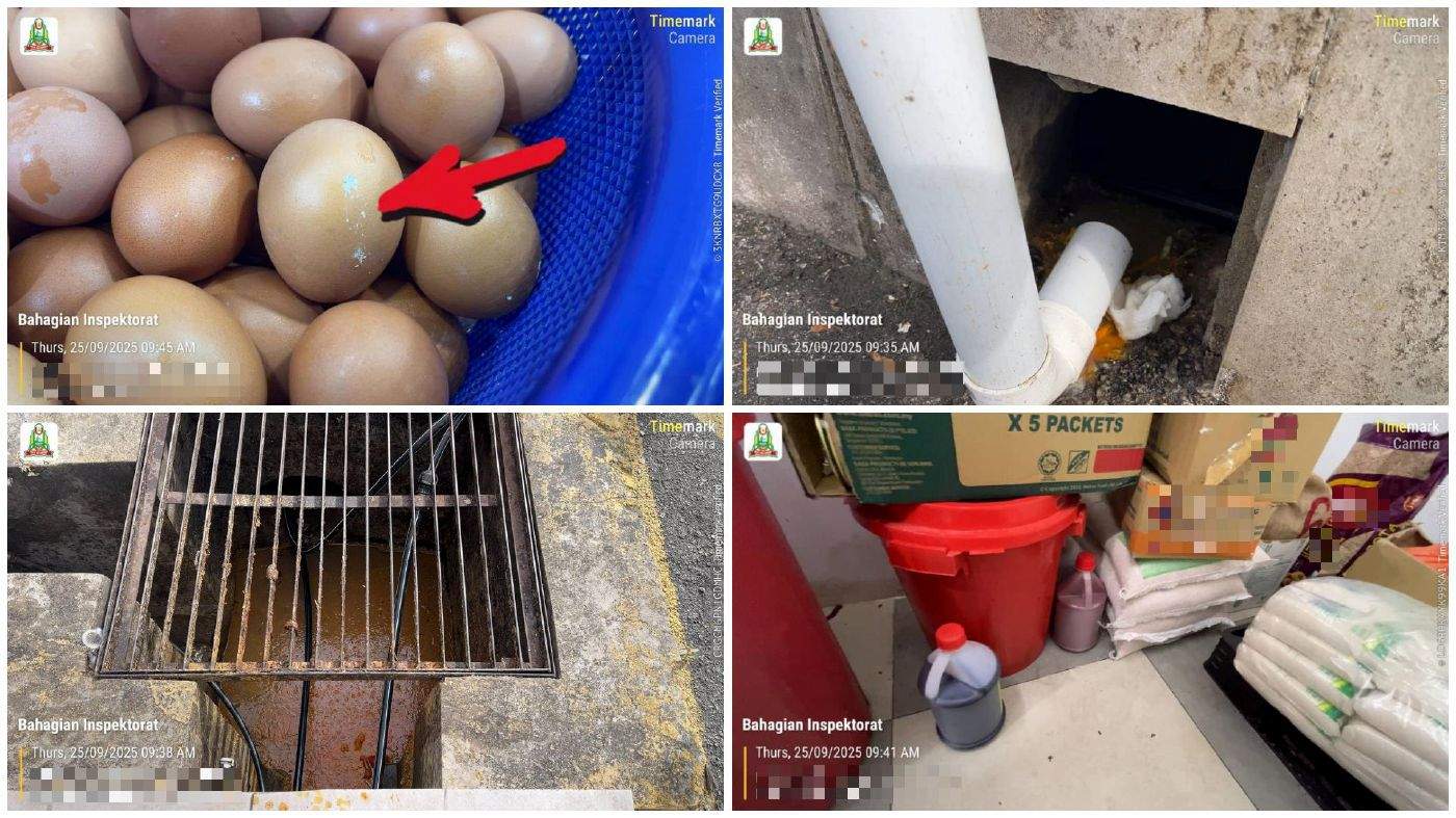 புக்கிட் பெருந்துங்கில் 8 உணவகங்களுக்கு 18,750 ரிங்கிட் சம்மன் - உணவு சேமிப்பு அறையில் எலியின் கழிவுகள் கண்டறியப்பட்டன!