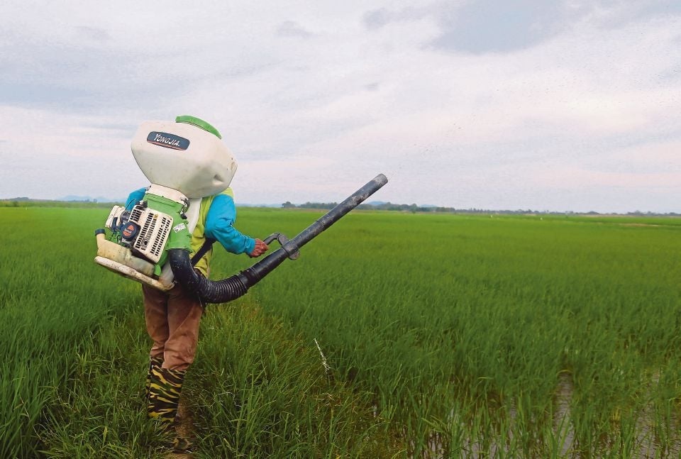 விவசாயிகளுக்குக் கூடுதல் மானியம்: புடி 95 திட்டத்தில் திருத்தம்!