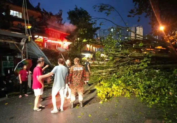 பினாங்கில் மரம் சாய்ந்ததில் 3 கார்கள், 2 மோட்டார்கள் சேதம்!