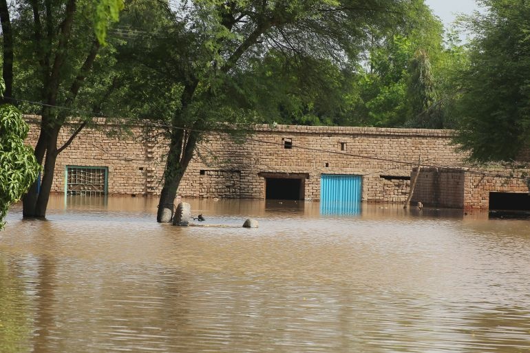 பாகிஸ்தானில் வெள்ளம்: மூழ்கிய 3,900 கிராமங்கள்