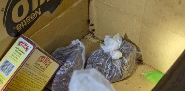 சமையலறையில் எலி, கரப்பான் பூச்சிகளின் கழிவுகள் - பினாங்கு உணவகத்தை மூடிய சுகாதார அதிகாரிகள்!