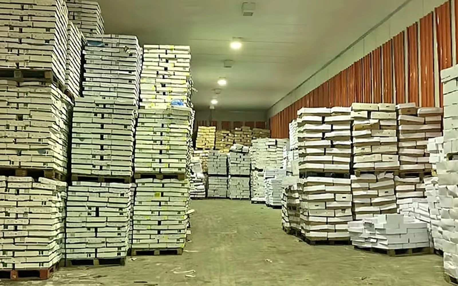 சுங்கத் துறையின் அதிரடி! RM2.45 மில்லியன் மதிப்புள்ள உறைந்த உணவுப் பொருட்கள் பறிமுதல்!